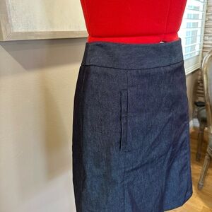 Merona Dark Blue A-Line Skirt